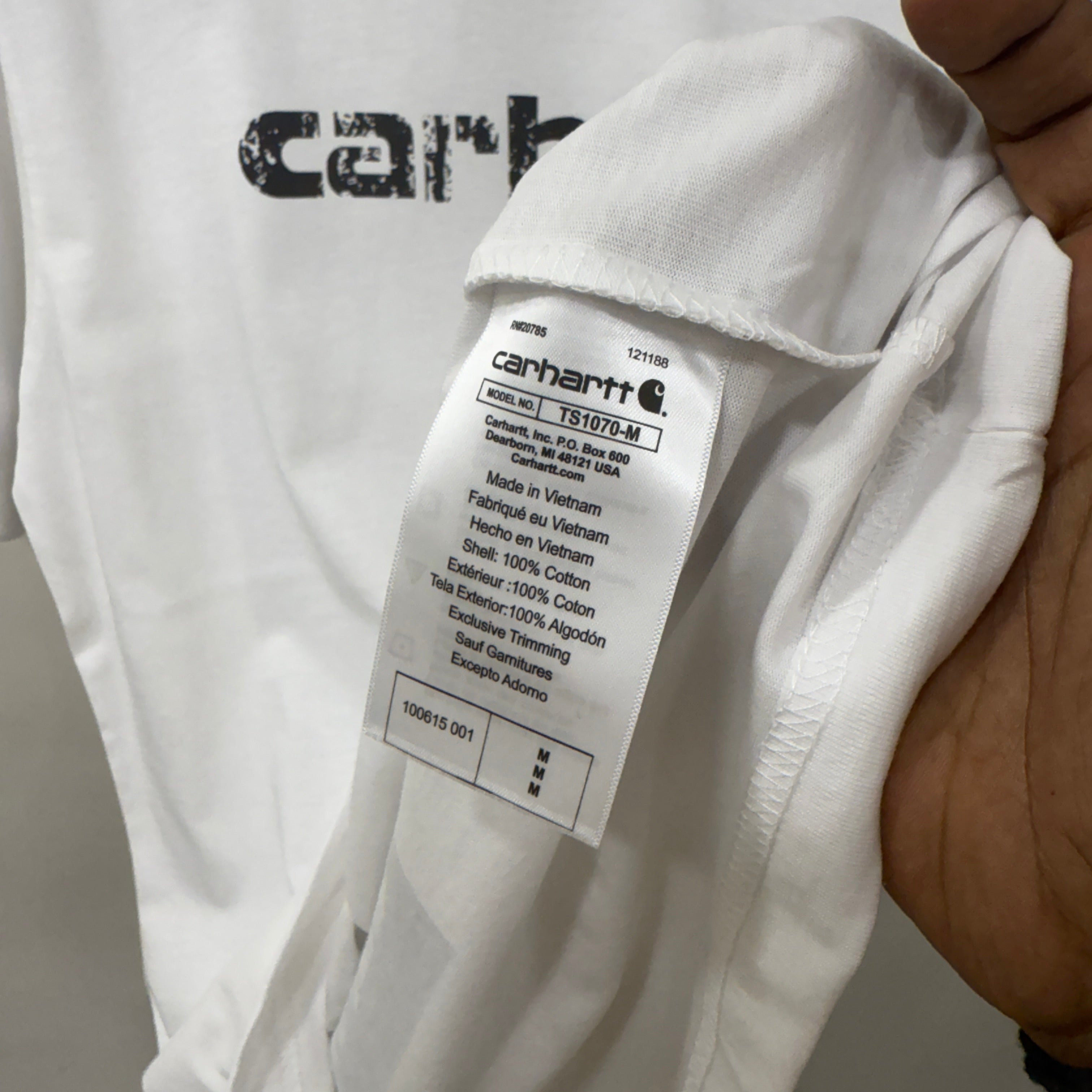 Carhartt oversize printed t-shirt